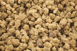 Jun25_sour_dubble_b