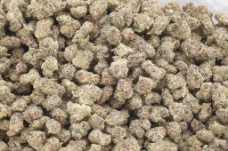 Jun25_super_boof_smalls