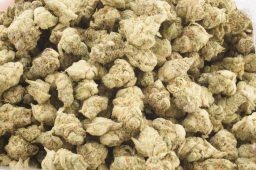 Jun25_weasel's diesel smalls