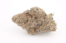 MAY25_berry_noir_plus
