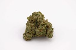 MAY25_bubbleyumplus