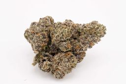 MAY25_crunchberriesplus