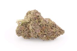MAY25_dipnstix