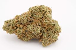 MAY25_lemonliftoff