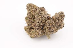 MAY25_moonberriesxcherrypie