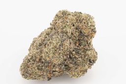 MAY25_peachesncream