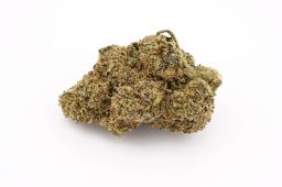 MAY25_superkushxz4a