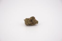 May26 candy lemon gelato_4a May26 candy lemon gelato_4a