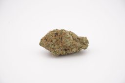 May26 purple punch_4a May26 purple punch_4a