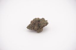 May29_gum drop_plus