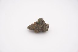 May29_gummies_plus