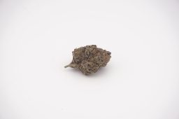 May29_zelium_plus