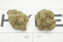 Milk_and_Cookies4A