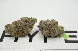 Mint Oreoz
