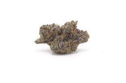 NOV25_Boston Georgia