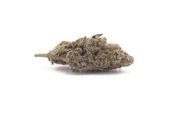 NOV25_Lemon Cherry Gelato #7 X Runtz