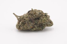 OCT25_Purple Runtz X Cake POP Plus