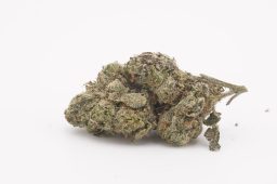 OCT25_ZkittlesCakeXNerdz