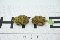 Triple Og
