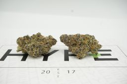 blueberry cookies