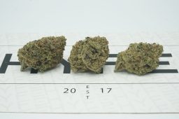 boyscout cookies