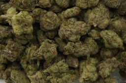 candy land smalls