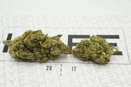 fire-og