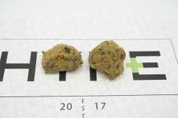 gmo zkittlez - moonrocks