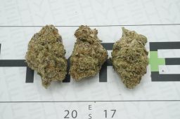 grape ape 3a
