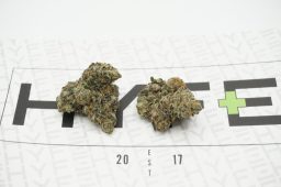 guava-gelato