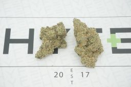 hawaiian
