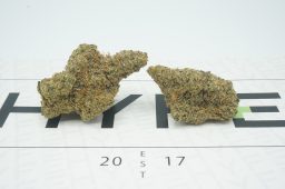 jelly kush