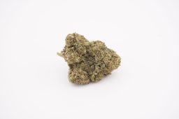 jul26_blueberry buzzana_4a