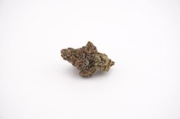 jul26_gelato 33_4a