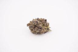 jul26_nutter butter_plus