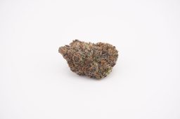 jul26_purple gelato_plus