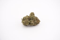 jul26_watermelon gelato_4a