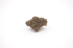 jun16_blue sierraz_4a