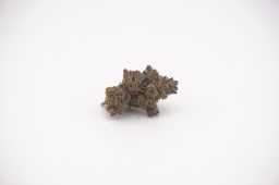 jun16_citrus mistress_4a