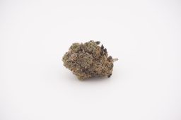 jun16_gelato 47_4a