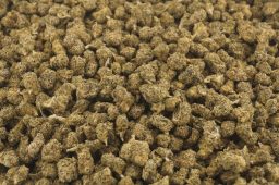 jun16_indoor mix smalls