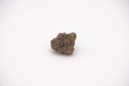 jun16_lemon skunk_4a