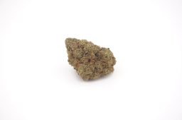 jun16_marathon og_4a