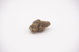 jun16_purple porcelain_4a