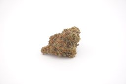 jun16_sundae driver_4a