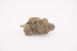 jun16_watermelon zkittlez_4a