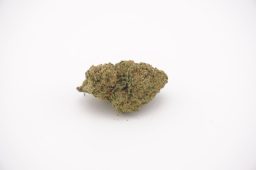 jun26_mango_3a