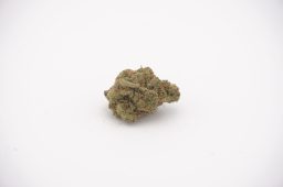 june6_jack herer_4a