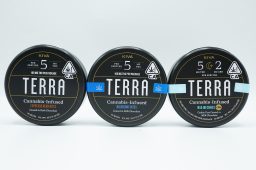 kiva bites