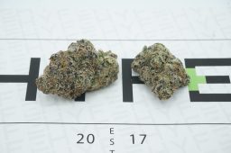 lcg x super mochi